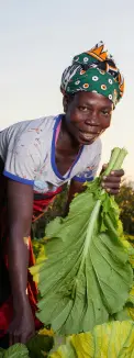 Harvest a future