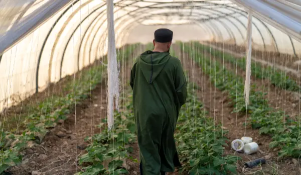 Harvest a future